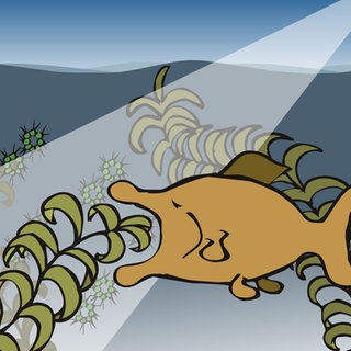 In der Animation zur Überdüngung eines Gewässers freut sich ein Fisch zunächst über das rasant ansteigende Nahrungsangebot und frisst fleißig Algen. Doch bald wird die Eutrophierung zu einem Überangebot führen, der See wird überwuchert.