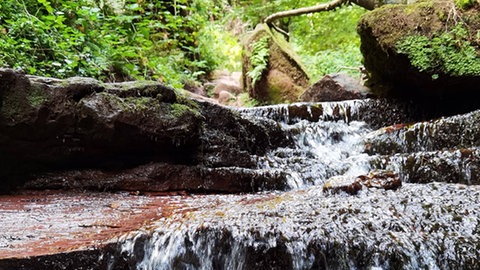 Ein Bach, der durch den Wald über Steinplatten einen kleinen Wasserfall bildet.
