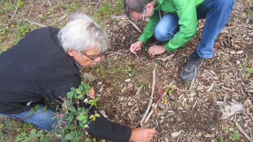 Zwei Männer in Hocke auf dem Waldboden.
