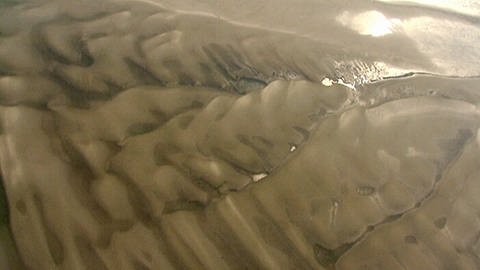 Sandbänke (Foto: SWR - Screenshot aus der Sendung)