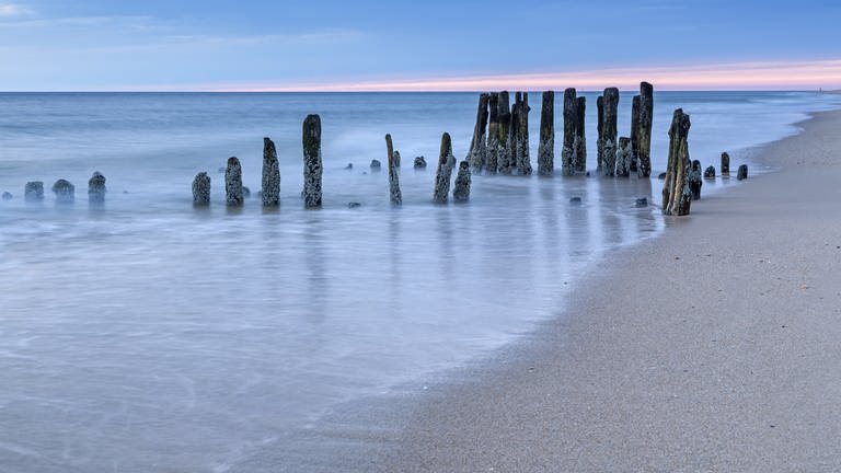 Blick auf Strand und Meer mit Holzpfosten auf Sylt