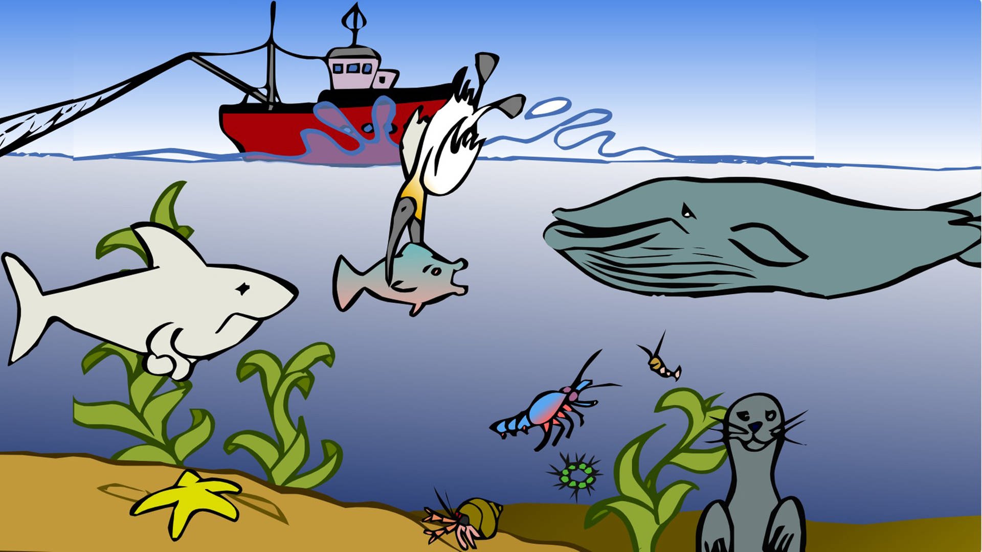 In der Animation zur Nahrungskette im Meer schnappt sich ein Seevogel einen Fisch. Beide gehören zu den Konsumenten und werden beispielsweise vom Hai gefressen.