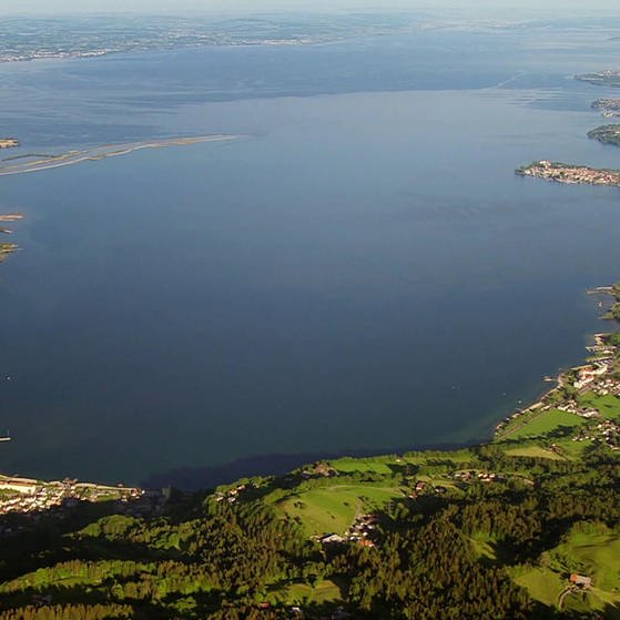 Luftaufnahme des Bodensees. (Foto: SWR – Screenshot aus der Sendung)