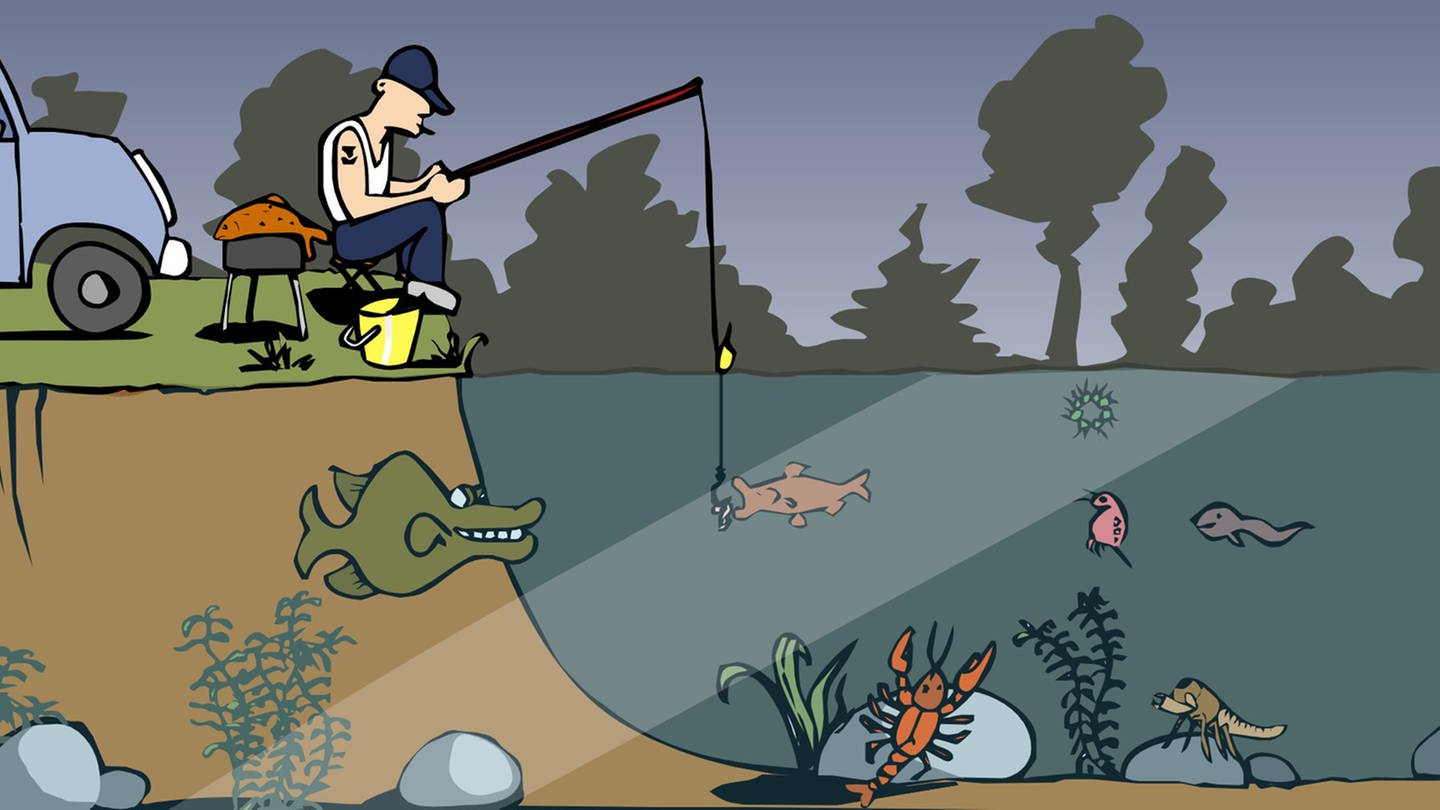 In der Animation zur zur Nahrungskette im Teich macht sich ein Hecht bereit, einen Fisch zu verspeisen. Da er sich von Fleischfressern ernährt, gehört er zu den Konsumenten dritter Ordnung. (Foto: Screenshot aus Animation)