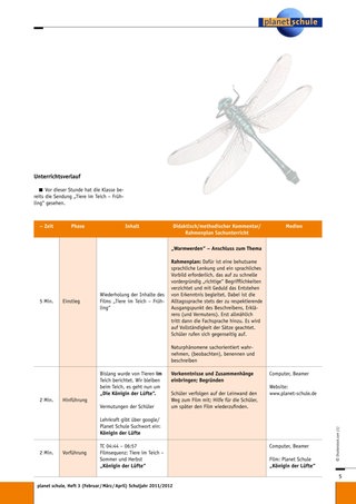 Unterrichtsverlauf: Libellen im Unterricht