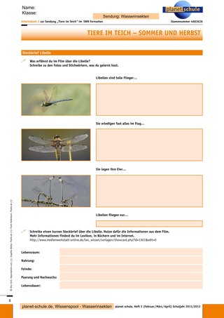 Arbeitsblatt 2: Steckbrief Libelle