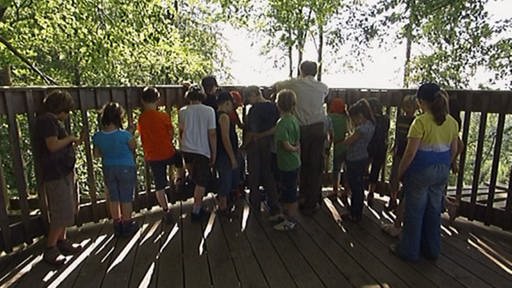 Viele Kinder und ein Erwachsener stehen an einer Aussichtsplattform. (Foto: SWR - Screenshot aus der Sendung)