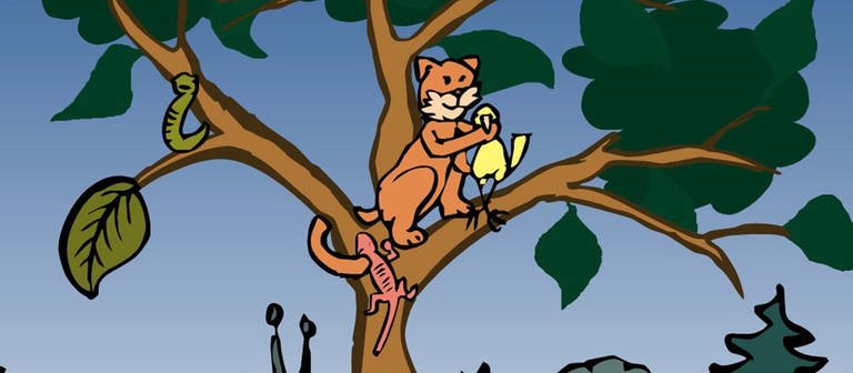 In der Animation zur Nahrungskette im Wald frisst eine Katze einen Vogel. Als Endverbraucher ist sie das letzte Glied der Nahrungskette. Stirbt sie, wird ihre Biomasse von den Destruenten zersetzt und der Kreislauf schließt sich. (Foto: Screenshot aus Animation)