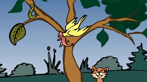 In der Animation Nahrungskette im Wald frisst ein Vogel eine Eidechse. Die Eidechse ist ein Konsument zweiter Ordnung, der sich von tierischen Pflanzenfressern ernährt. Der Vogel wird als Drittverbraucher oder Konsument dritter Ordnung bezeichnet. (Foto: )