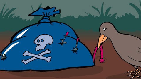In der Animation Gift in der Nahrungskette Wald liegt ein sack mit giftigem Müll aus einer Lichtung. Pflanzen und ein Wurm haben das Gift bereits aufgenommen und sind pink eingefärbt, ein Vogel hat den giftigen Wurm gefangen.  (Foto: Screenshot aus Animation)