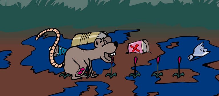In der Animation Gift in der Nahrungskette Wald  (Foto: Screenshot aus Animation ist eine Maus zu sehen, die im Wald inmitten von Müll mit Gift angereicherte Pflanzen frisst und dadurch auch das Gift aufnimmt. )