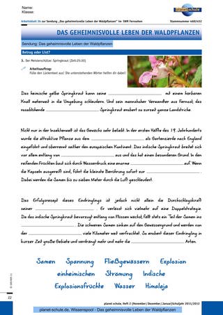 Arbeitsblatt 3b: Springkraut: Vemehrung