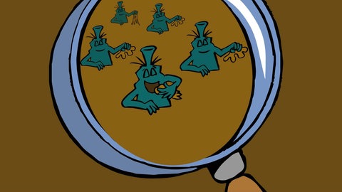 In der Animation zur Nahrungskette im Wald zerlegen Bakterien die Ausscheidungen von Würmern und anderen Bodenbewohnern zu Pflanzendünger. Sie alle gehören gemeinsam mit Käfern und anderen Insekten zu den Destruenten.