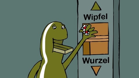 In der Animation zur Photosynthese befördert der Chloroplast "Chloro" den von ihm produizierten Traubenzucker aus seinem Mund in einen Aufzug. So kann er das Zuckermolekül in andere Teile der Pflanze transportieren.