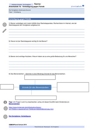 Arbeitsblatt 1b: Bienen: Verteidigung gegen Feinde