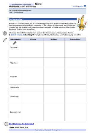 Arbeitsblatt 2a: Der Bienenstaat