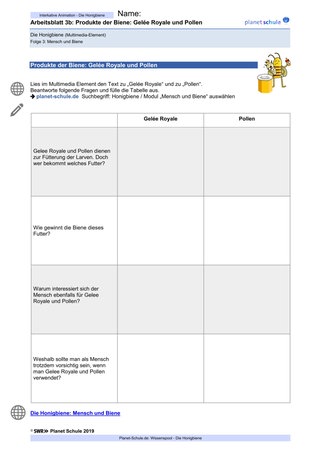 Arbeitsblatt 3b: Gelée Royale und Pollen