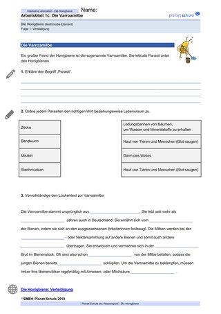 Arbeitsblatt 1c: Die Varroamilbe