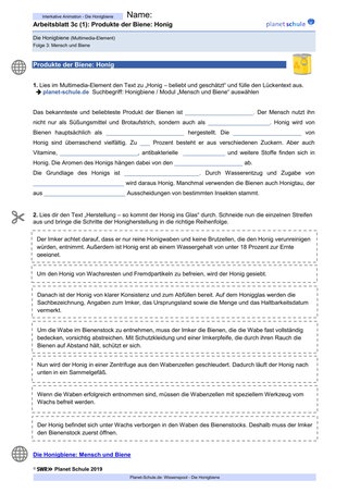 Arbeitsblatt 3c (1): Produkte der Biene: Honig