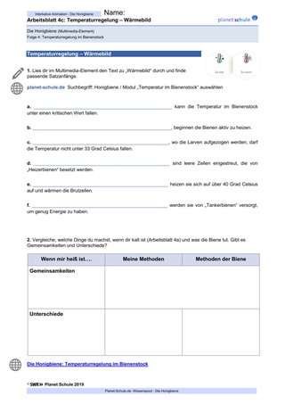 Arbeitsblatt 4c: Temperaturregelung im Bienenstock: Wärme