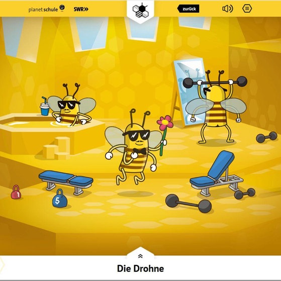 Animation: Drohnen beim Krafttraining.