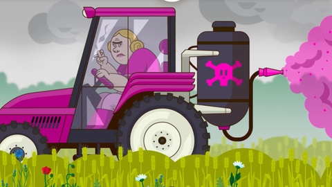 Lernspiel zu Wildbienen: Warum sind die Bienen bedroht? Welche Rolle spielt die Landwirtschaft?