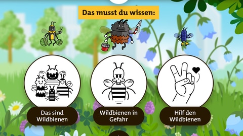 Lernspiel zu Wildbienen: Wie kann man den bedrohten Bienen helfen? Lerne wie die Wildbienen leben!