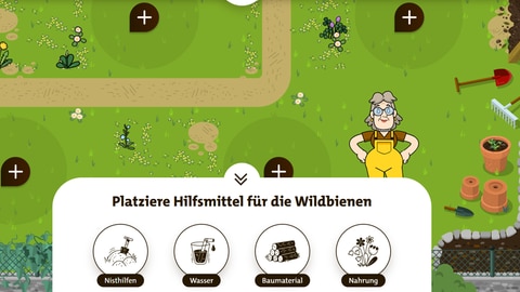 Lernspiel zu Wildbienen: Wie kann man bedrohten Bienen in eigenen Garten helfen? Niststellen, Futter und Wasserquellen einrichten