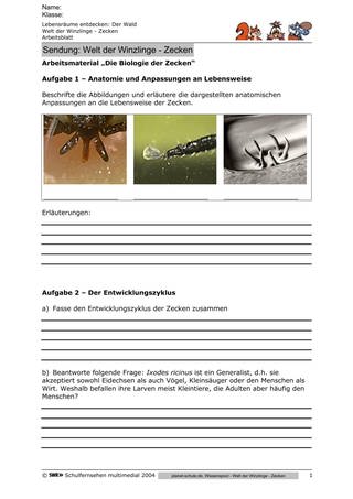Arbeitsblatt 1: Biologie der Zecken (Foto: )