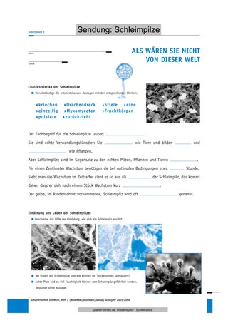 Arbeitsblatt 1: Charakteristika der Schleimpilze