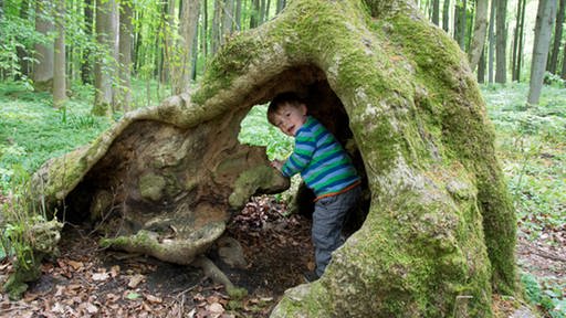 Kind im Wald (Foto: Imago)