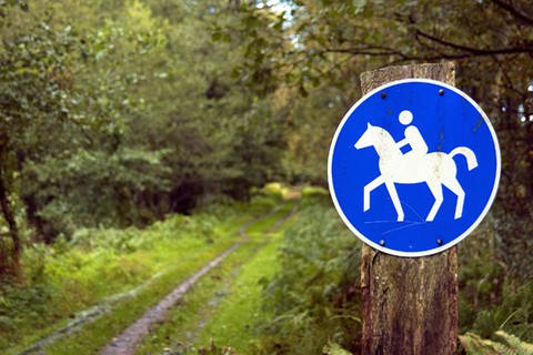 Verkehrsschild "Reiten erlaubt" (ein weißer Reiter mit Pferd auf blauem Hintergrund) (Foto: imago)