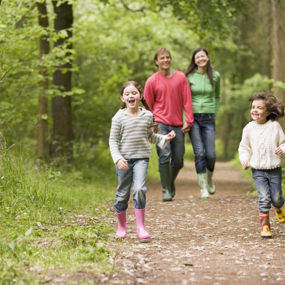 Vier Personen beim Spaziergang im Wald