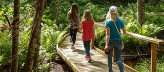 Zwei Kinder und eine Frau laufen über einen Holzsteg durch einen Wald.