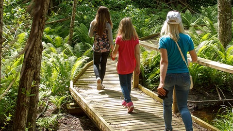 Zwei Kinder und eine Frau laufen über einen Holzsteg durch einen Wald.