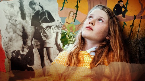 Bildmontage von Jane Goodall.