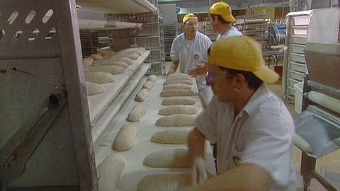 Brotlaibe in Großbäckerei