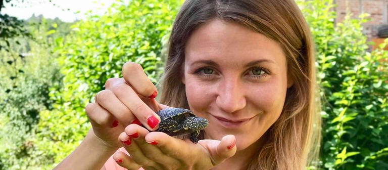neuneinhalb-Reporterin Jana hält eine zwei Jahre alte Europäische Sumpfschildkröte auf der Hand  Jana hält eine junge Europäische Sumpfschildkröte auf der Hand in die Kamera. (Foto: WDR, tvision)