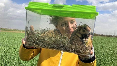 neuneinhalb-Reporterin Jana hält eine Transportbox mit einem Feldhamster.