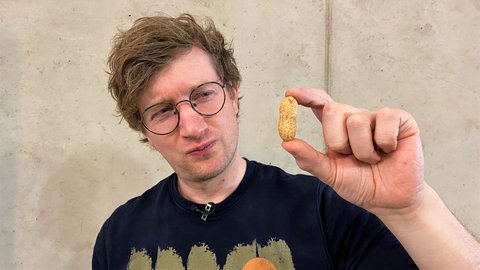 neuneinhalb-Reporter Robert hält eine Erdnuss in die Kamera. Er schaut die Erdnuss dabei kritisch an.