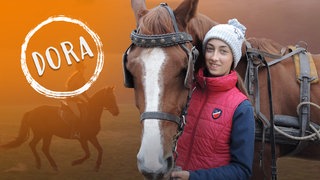 Dóra streichelt ein Pferd