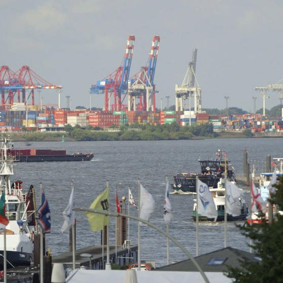Blick auf den Containerhafen mit Schiffen, die auf dem Fluss im Vordergrund fahren. (Foto: SWR – Screenshot aus der Sendung)