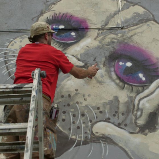 Streetart-Künstler malt riesigen Katzenkopf (Foto: SWR – Screenshot aus der Sendung)