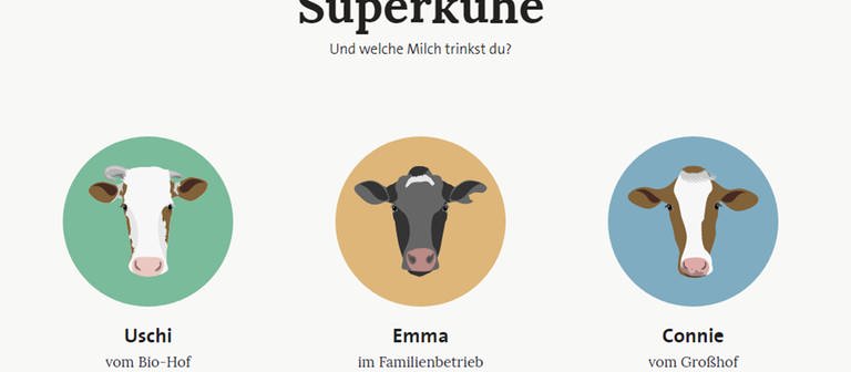 Website zum Projekt "Die Superkühe" (Foto: )