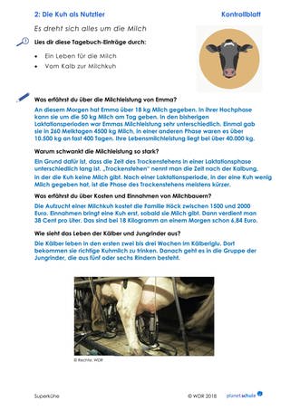Lösungen 3: Die Superkühe: Kuhhaltung und Milchleistung (Foto: )