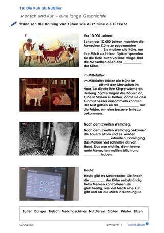 Arbeitsblatt 1B: Die Superkühe: Geschichte der Kuhhaltung