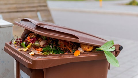 Eine halb geöffnete Biomülltonne, aus der Biomüll herausschaut