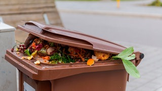 Eine halb geöffnete Biomülltonne, aus der Biomüll herausschaut