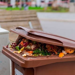 Eine halb geöffnete Biomülltonne, aus der Biomüll herausschaut