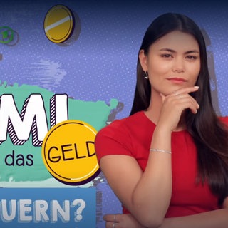 Screenshot aus dem Film "Was sind Steuern?"